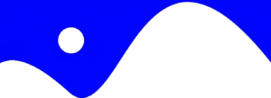 website development services